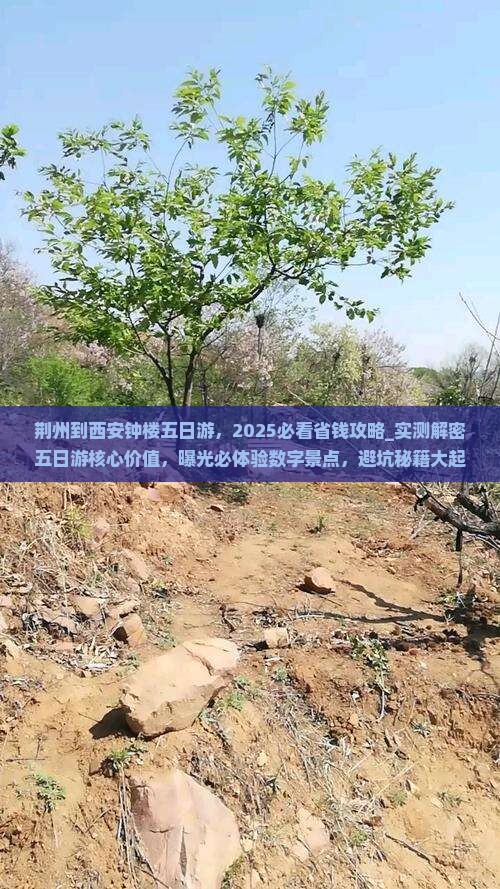 荆州到西安钟楼五日游