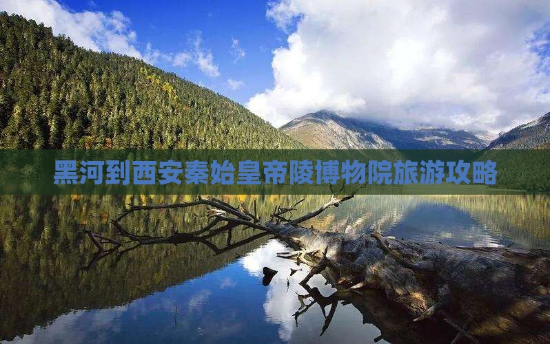 黑河到西安秦始皇帝陵博物院自由团