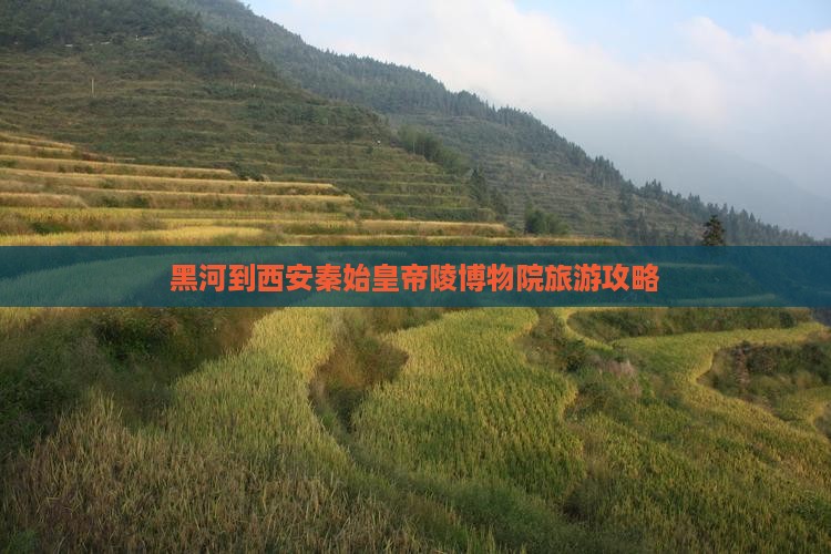 黑河到西安秦始皇帝陵博物院自由团