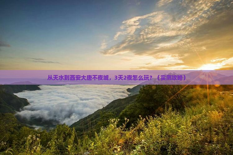 天水去西安大唐不夜城门票