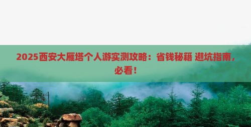 大同去西安大雁塔个人游