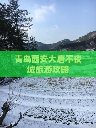 青岛去西安大唐不夜城景点