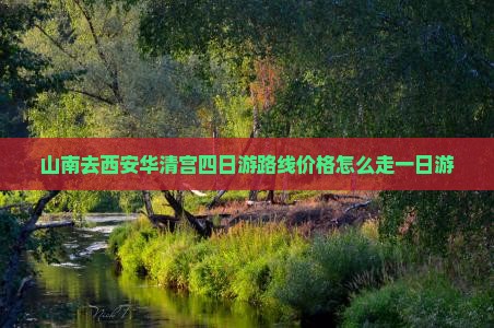 山南去西安华清宫四日游
