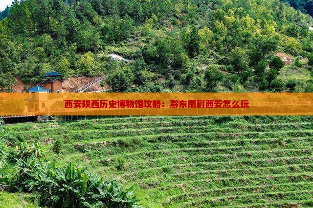 黔东南到西安陕西历史博物馆哪里玩