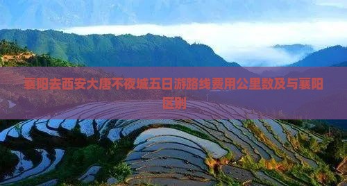 襄阳去西安大唐不夜城五日游