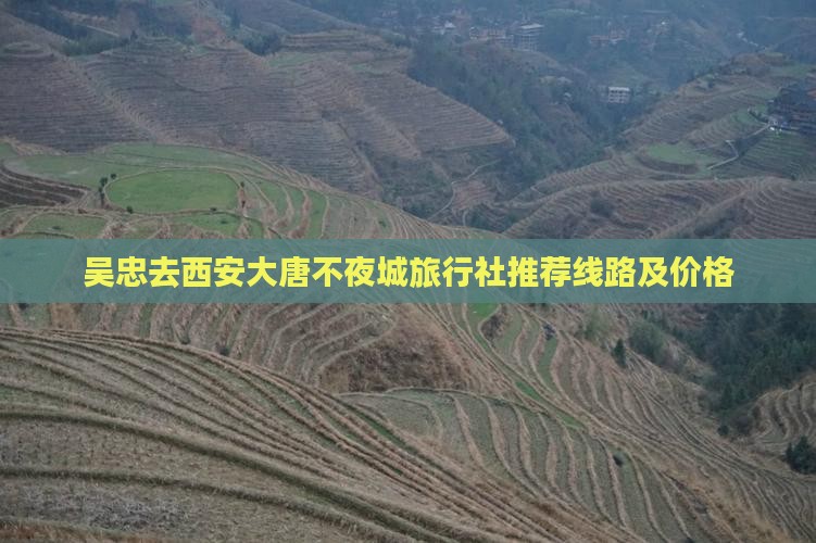 吴忠去西安大唐不夜城旅行社