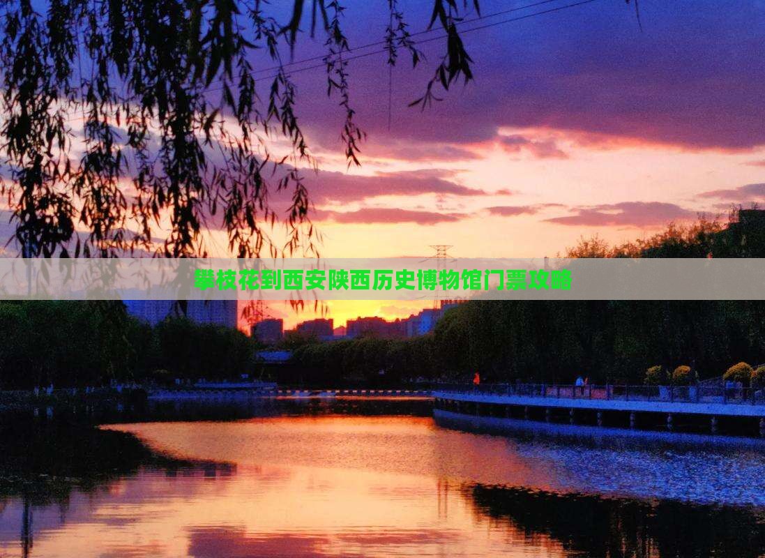 攀枝花到西安陕西历史博物馆门票