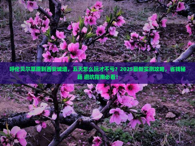 呼伦贝尔到西安城墙五日游