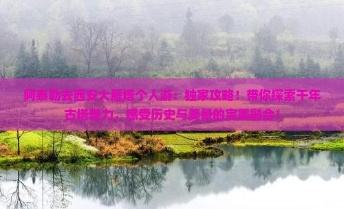 阿泰勒去西安大雁塔个人游