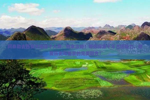 阿泰勒去西安大雁塔个人游