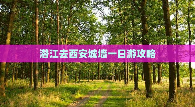 潜江去西安城墙一日游