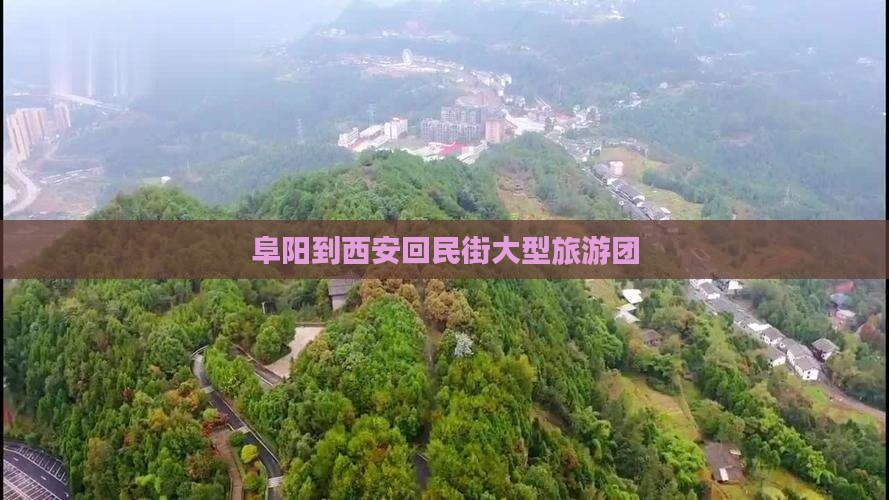 阜阳到西安回民街大型旅游团