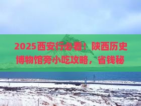 八月到西安陕西历史博物馆旅游小吃