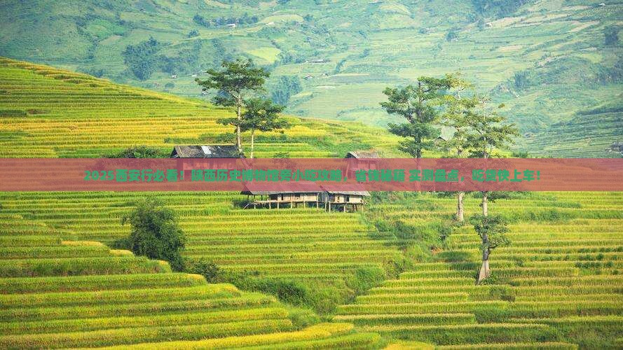 八月到西安陕西历史博物馆旅游小吃