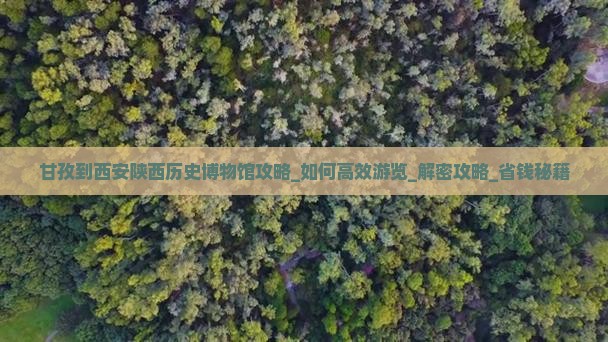 甘孜到西安陕西历史博物馆攻略