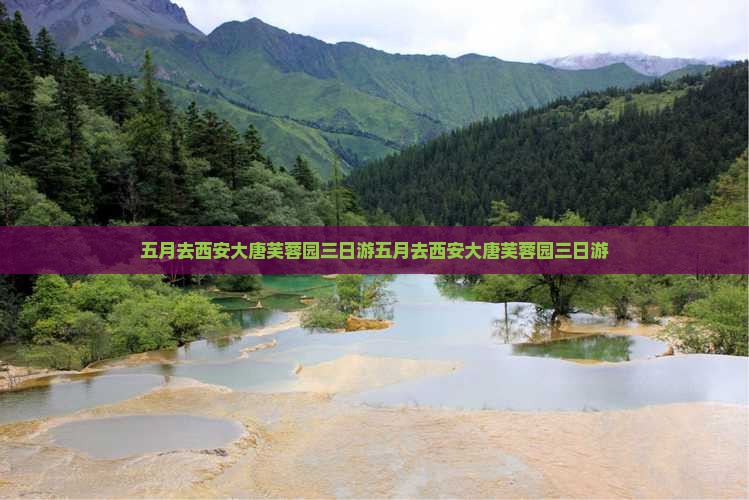 五月去西安大唐芙蓉园三日游