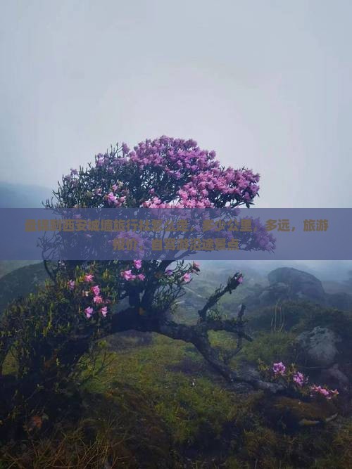 盘锦到西安城墙旅行社