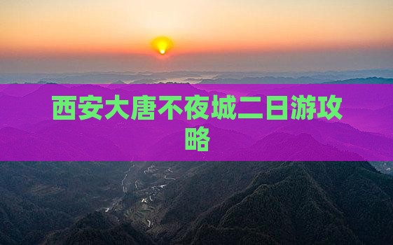 那曲到西安大唐不夜城二日游