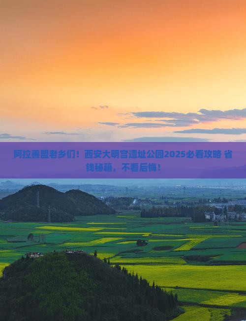 阿拉善盟去西安大明宫国家遗址公园大型旅游团