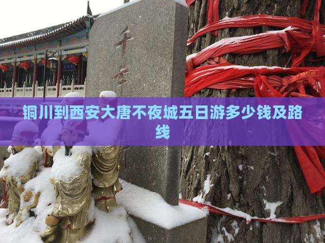 铜川到西安大唐不夜城五日游
