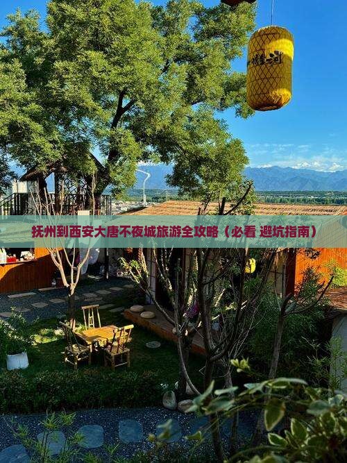 抚州到西安大唐不夜城自由团