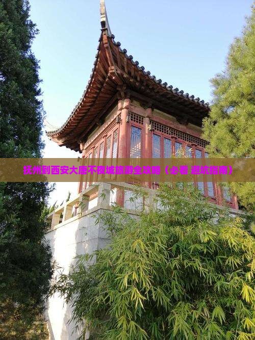 抚州到西安大唐不夜城自由团