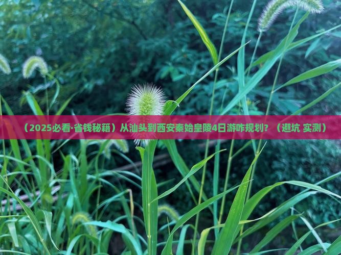 汕头去西安秦始皇帝陵博物院四日游