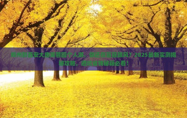 郑州到西安大唐芙蓉园个人游