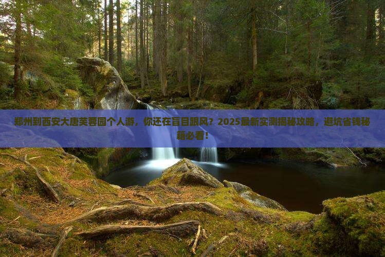 郑州到西安大唐芙蓉园个人游