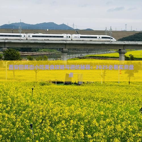 苏州去西安回民街旅游小吃