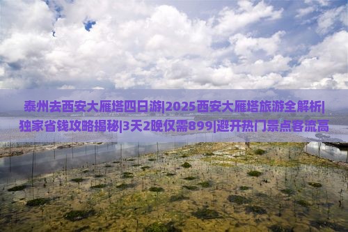 泰州去西安大雁塔四日游