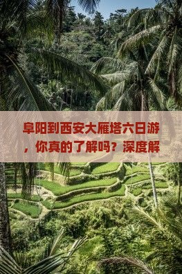阜阳到西安大雁塔六日游