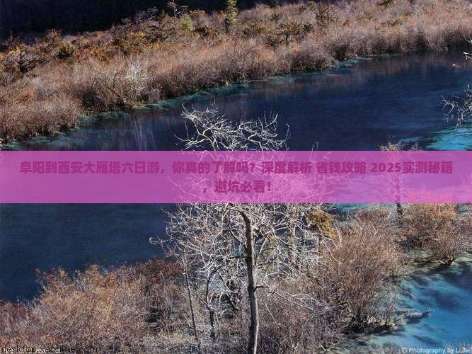 阜阳到西安大雁塔六日游