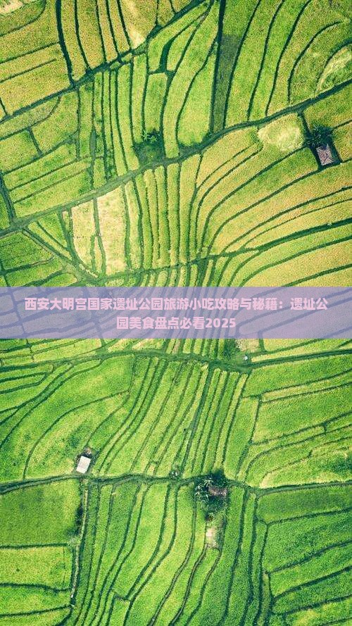周口到西安大明宫国家遗址公园旅游小吃