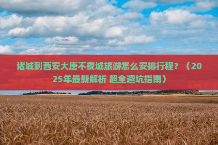 诸城到西安大唐不夜城旅行社