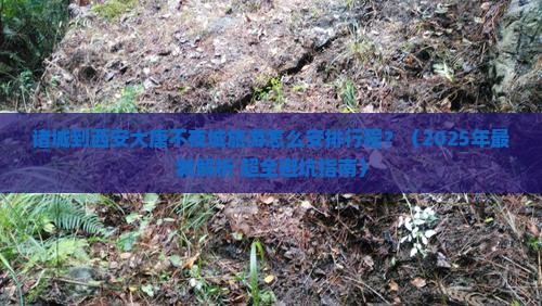 诸城到西安大唐不夜城旅行社
