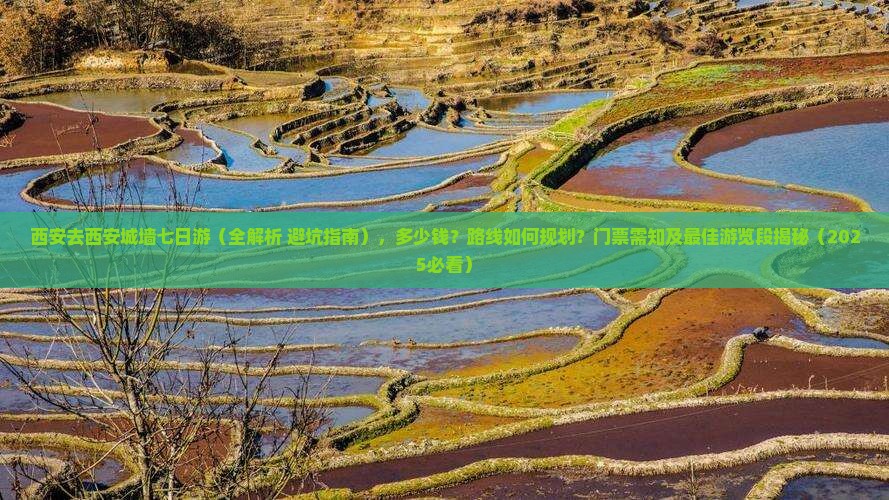 西安去西安城墙七日游