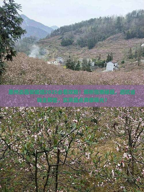 惠州去西安城墙攻略