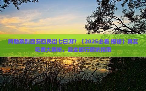阿勒泰到西安回民街七日游