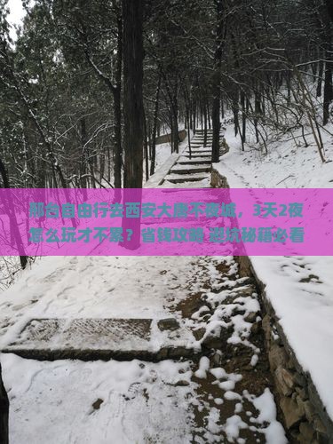 邢台去西安大唐不夜城自由行