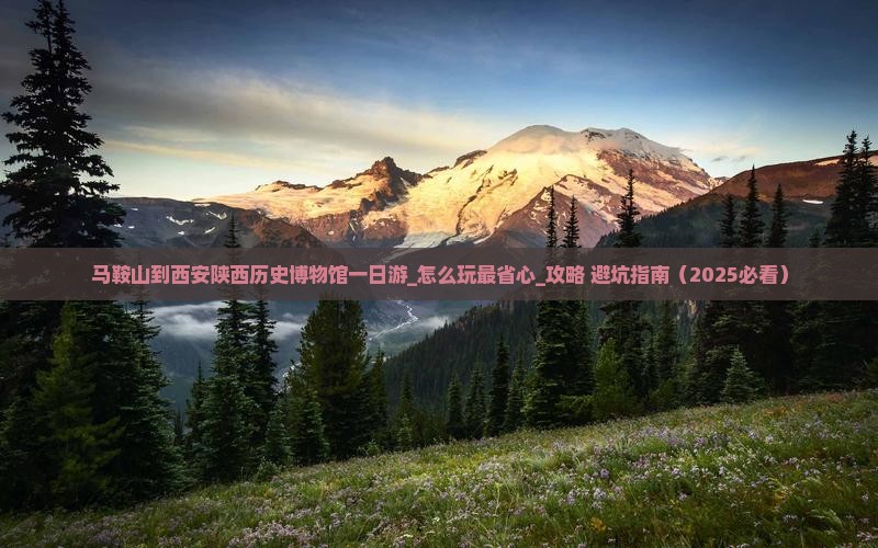 马鞍山到西安陕西历史博物馆一日游
