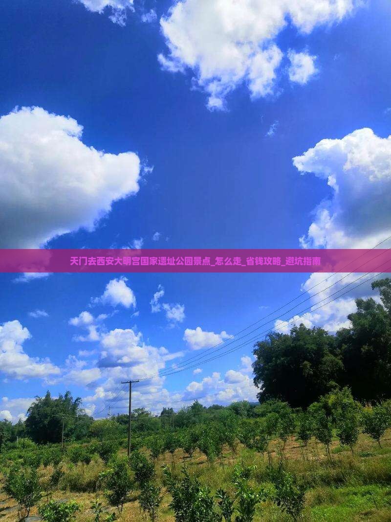 天门去西安大明宫国家遗址公园景点