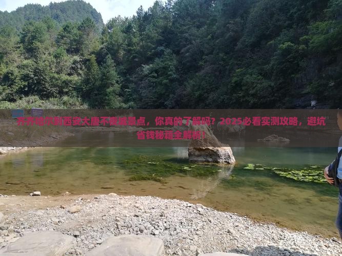齐齐哈尔到西安大唐不夜城景点