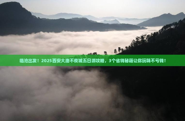 临沧到西安大唐不夜城五日游