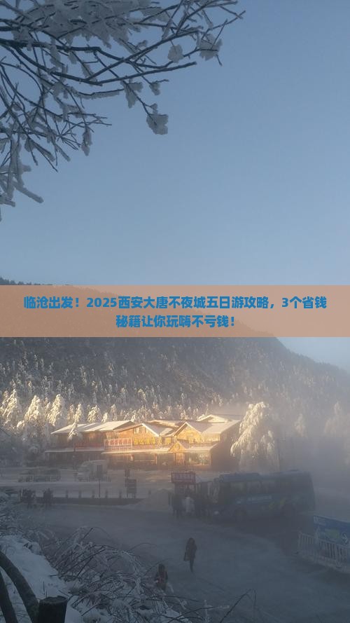 临沧到西安大唐不夜城五日游