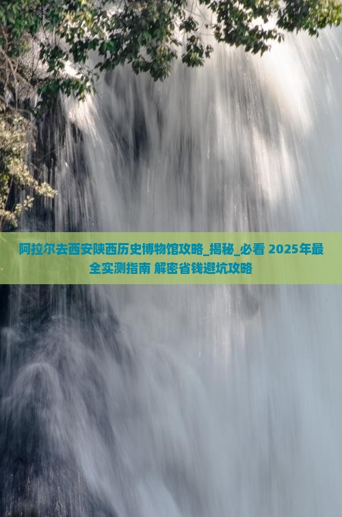 阿拉尔去西安陕西历史博物馆攻略