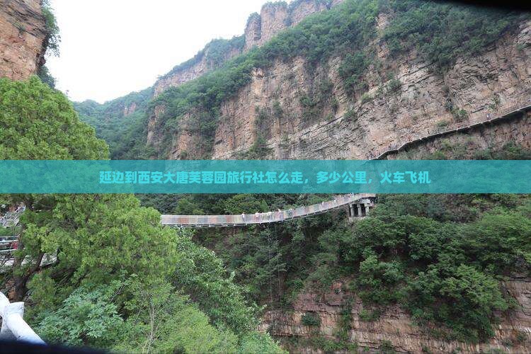 延边到西安大唐芙蓉园旅行社