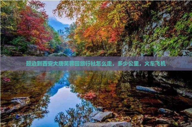 延边到西安大唐芙蓉园旅行社