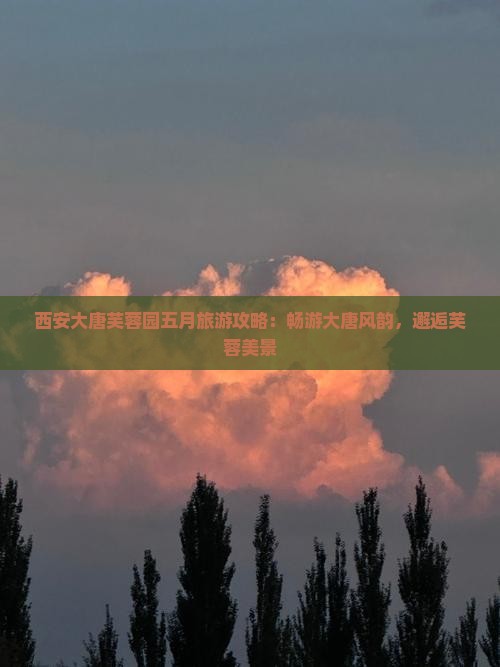 五月去西安大唐芙蓉园自由行