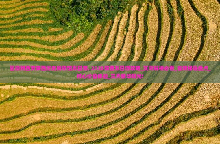 固原到西安陕西历史博物馆五日游